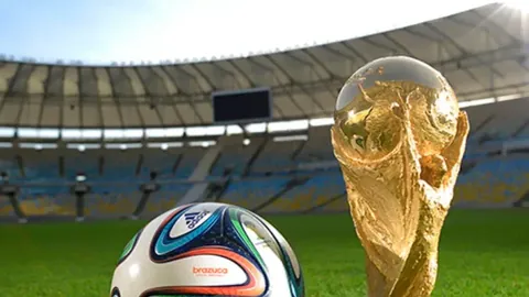 “一号文件详解：关键农产品供应保障策略，竖屏短视频深度剖析”